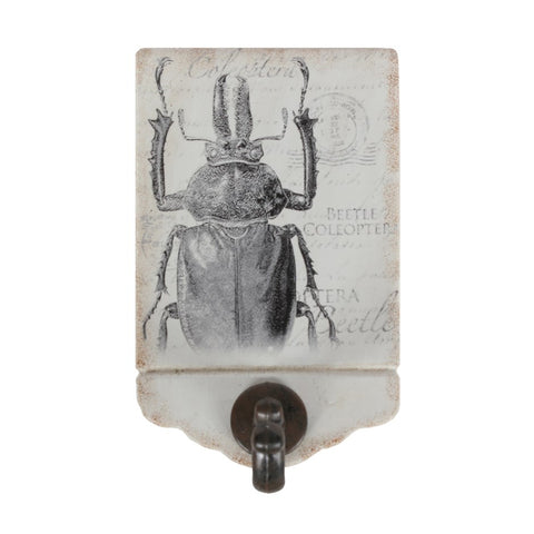 Beetle Wall Hook